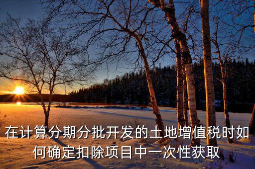 在計算分期分批開發的土地增值稅時如何確定扣除項目中一次性獲取