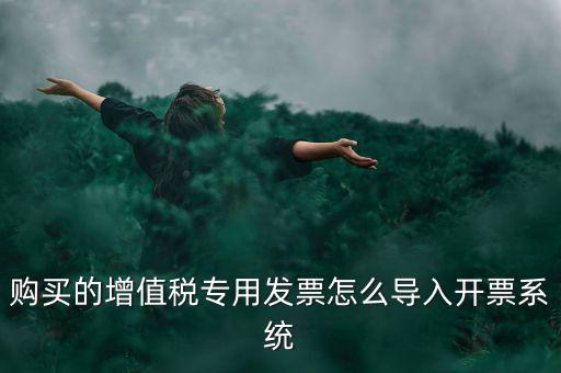 購買的增值稅專用發票怎么導入開票系統