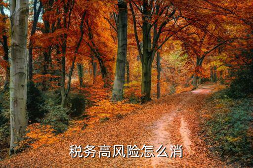 如何降低稅務風險 發展，企業如何降低稅收風險