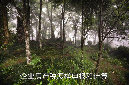 企業房產稅如何申報，企業何如申報房產稅