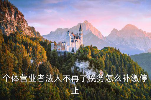 個體戶如何補交固定稅，個體戶地稅怎么補交未進行地稅申報現(xiàn)補交稅款還要被罰款三倍嗎