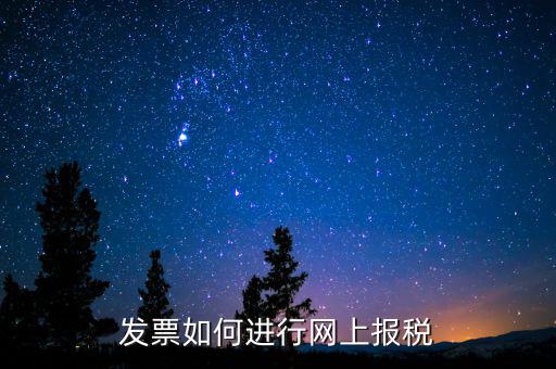 發票如何進行網上報稅