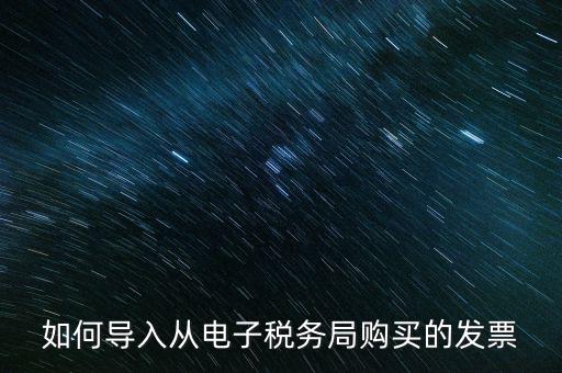 如何導入從電子稅務局購買的發票
