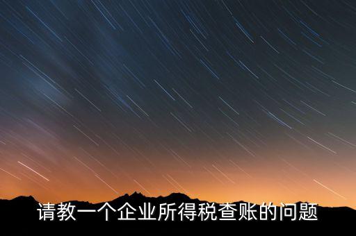 請教一個企業所得稅查賬的問題