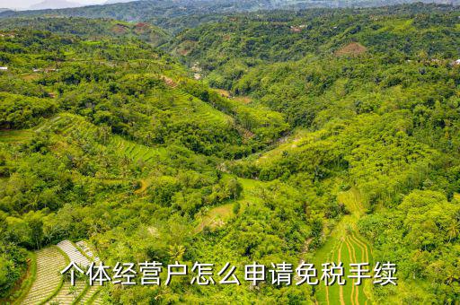 如何申請個體工商戶免稅，個體經(jīng)營戶怎么申請免稅手續(xù)