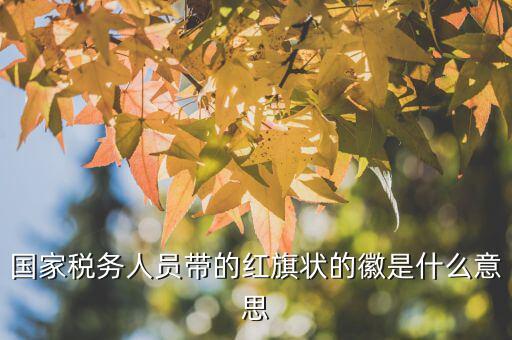 如何佩戴稅務肩章，地稅局人員的肩章
