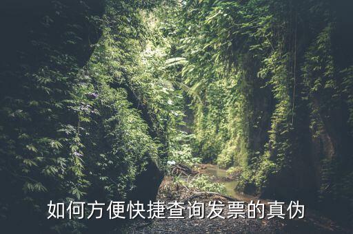 上海如何查發票真偽，上海發票真偽查詢