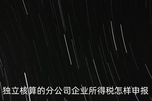 獨立核算的分公司企業所得稅怎樣申報