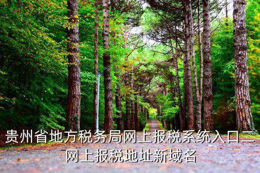 貴州地稅如何網上申報，貴州省地方稅務局網上報稅系統入口二網上報稅地址新域名