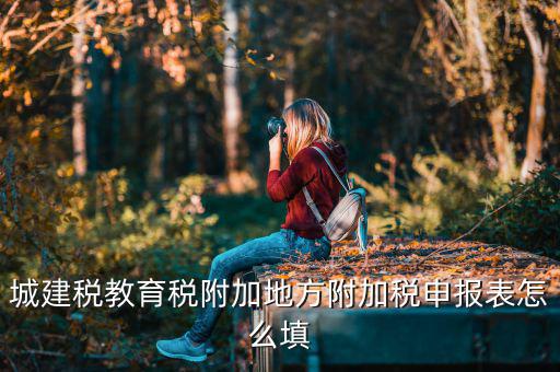 新城建稅附加表如何填，網上申報城建稅教育附加稅怎么填