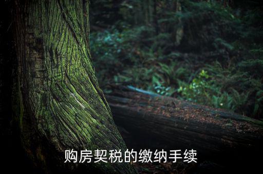 如何繳納契稅，購房契稅的繳納手續