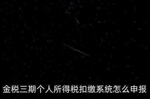 金稅三期個人所得稅扣繳系統怎么申報