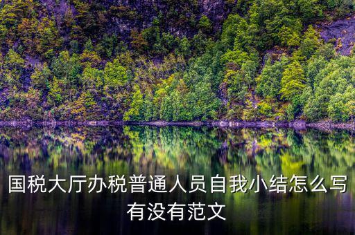 國稅大廳辦稅普通人員自我小結怎么寫有沒有范文