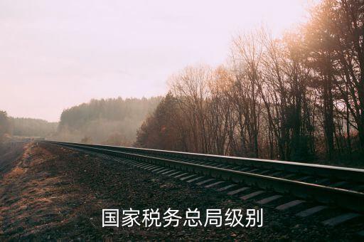 國家稅務總局是什么級別，國家稅務總局是什么級別