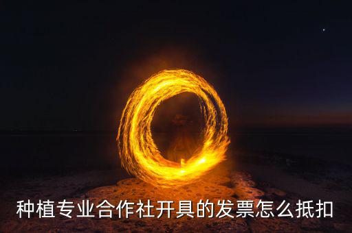 種植專業合作社開具的發票怎么抵扣
