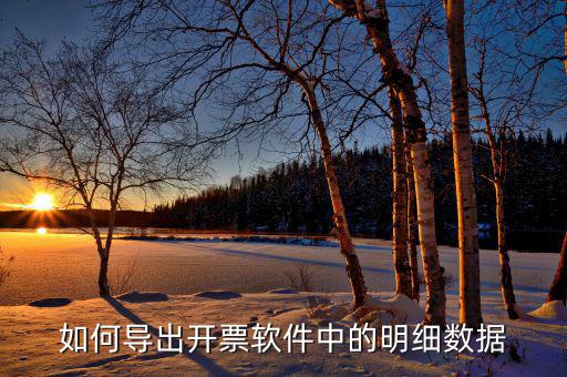 如何導出開票軟件中的明細數據