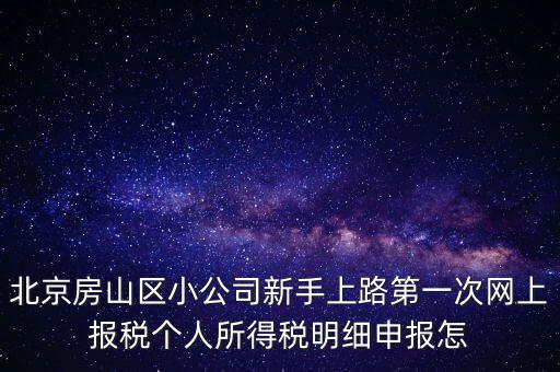 北京房山區小公司新手上路第一次網上報稅個人所得稅明細申報怎