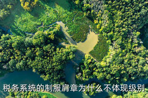 稅務系統的制服肩章為什么不體現級別