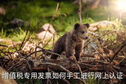 如何手工認證發票，網上發票認證怎么手工輸入