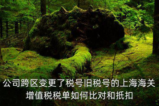 公司跨區變更了稅號舊稅號的上海海關增值稅稅單如何比對和扺扣