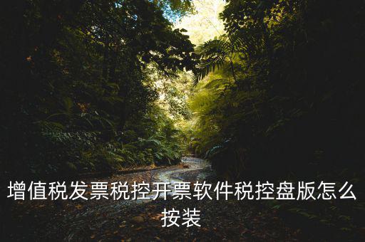 增值稅發票稅控開票軟件稅控盤版怎么按裝