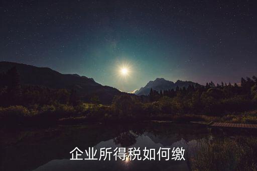 企業所得稅如何繳稅，企業所得稅如何繳納
