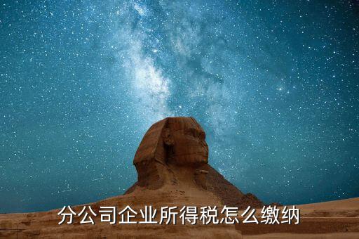 分公司企業所得稅怎么繳納