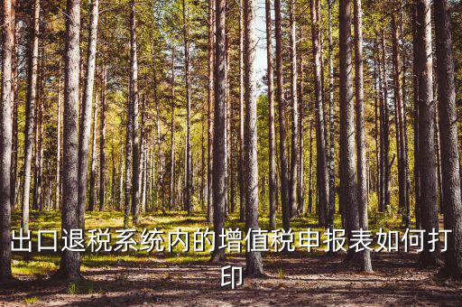 出口退稅系統內的增值稅申報表如何打印