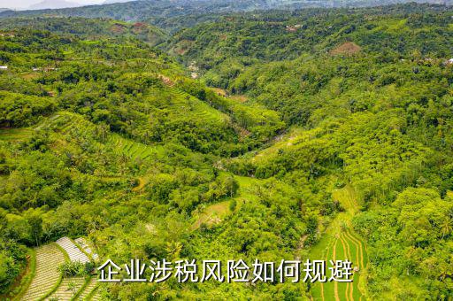 企業涉稅風險如何規避