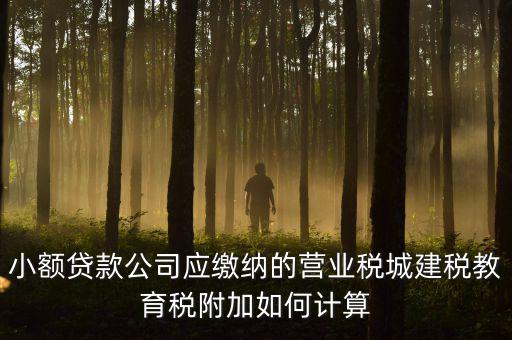 小額貸款公司應繳納的營業稅城建稅教育稅附加如何計算