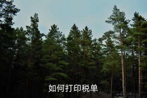 公司稅單如何查詢打印，關(guān)于公司稅單打印問(wèn)題