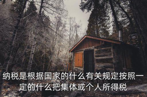 納稅是根據國家的什么有關規定按照一定的什么把集體或個人所得稅