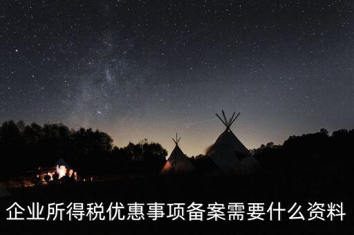 企業所得稅備案需要帶什么東西，企業所得稅優惠事項備案需要什么資料