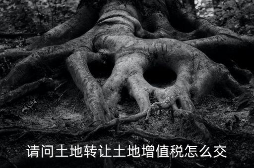 土地增值稅如何繳納，請問土地轉讓土地增值稅怎么交