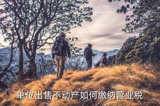 轉讓不動產如何納稅，轉讓自建不動產如何納稅