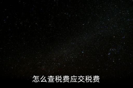怎么查稅費應交稅費