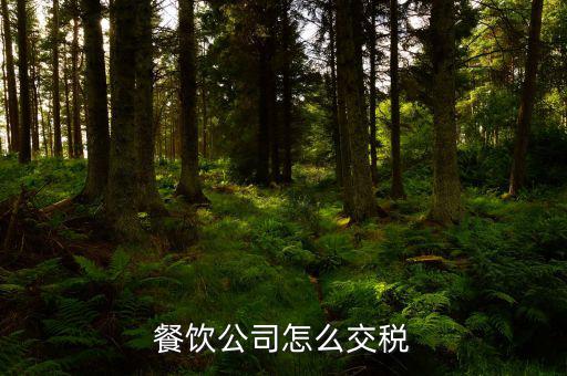 私營餐飲企業如何繳稅，開一家小餐飲行業的店如何交稅