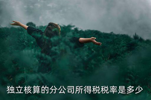 獨立核算的分公司如何納稅，誰知道獨立核算的同城分公司如何繳稅