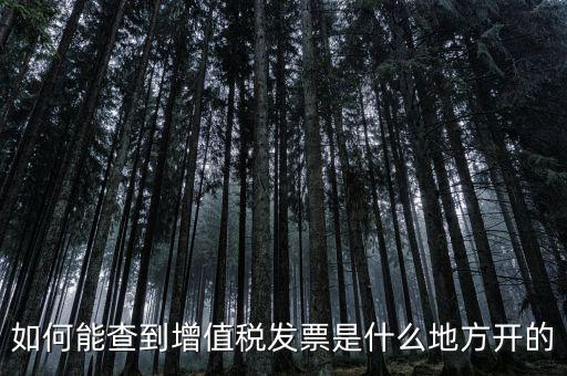 如何能查到增值稅發票是什么地方開的