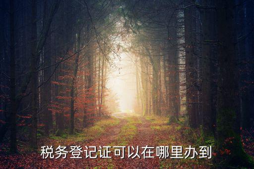 如何辦理稅種登記，辦好營業執照后怎么辦理稅務登記證