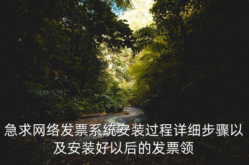 急求網絡發票系統安裝過程詳細步驟以及安裝好以后的發票領