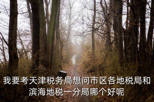 我要考天津稅務局想問市區各地稅局和濱海地稅一分局哪個好呢