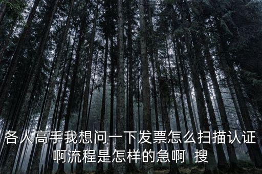 各人高手我想問一下發票怎么掃描認證啊流程是怎樣的急啊  搜