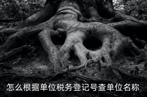 如何通過(guò)稅號(hào)查單位，知道納稅人識(shí)別號(hào)怎么查單位