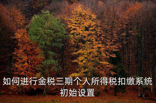 如何進行金稅三期個人所得稅扣繳系統初始設置