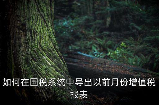 如何導出增值稅申報表，如何在國稅系統中導出以前月份增值稅報表