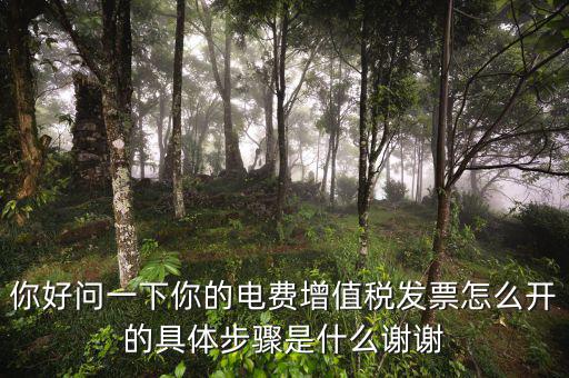 你好問一下你的電費增值稅發票怎么開的具體步驟是什么謝謝