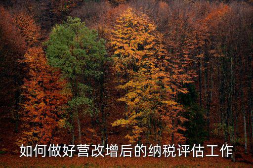 如何做好納稅評估，企業納稅評估的方式方法