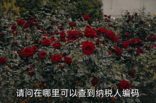 教您如何查詢納稅人代碼，忘記稅務征收機關代碼
