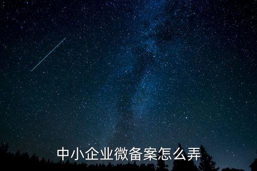 小型微型企業如何備案，小型微型企業登記備案